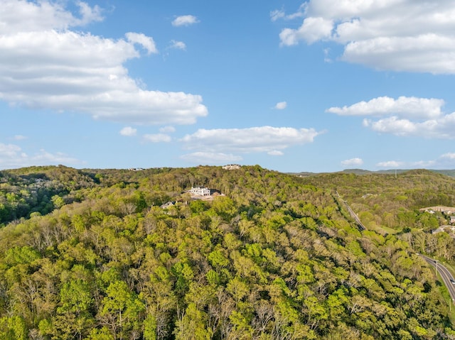 513 King Richards Ct, Franklin, TN 37067 - mountain view with a forest
