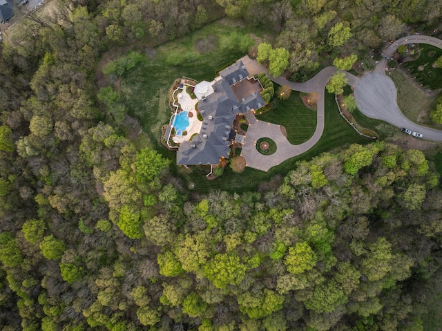 513 King Richards Ct, Franklin, TN 37067 - aerial view of property's location