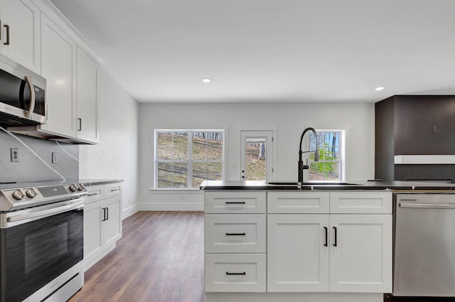 7592 Grasshopper Rd, Georgetown, TN 37336 - kitchen featuring appliances with stainless steel finishes, a sink, baseboards, wood finished floors, and dark countertops