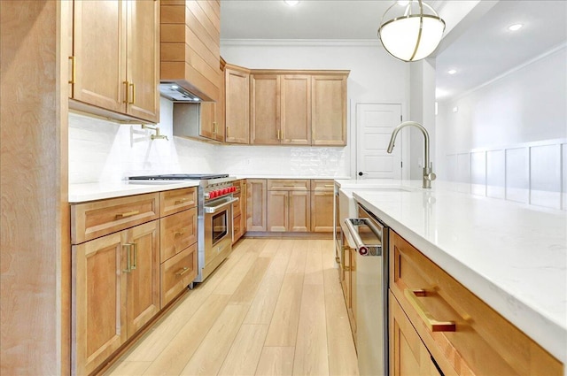 8650 Becket Way Lot # 4, Ooltewah, TN 37363 - kitchen featuring stainless steel appliances, light wood finished floors, ornamental molding, custom exhaust hood, and tasteful backsplash