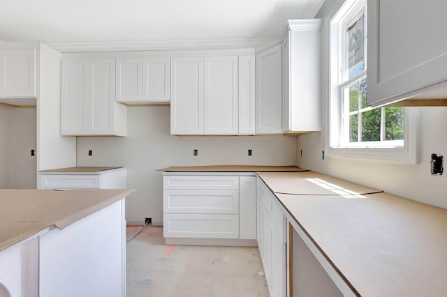 7452 Peytons Rise Way Lot # 52, Georgetown, TN 37336 - kitchen with white cabinetry