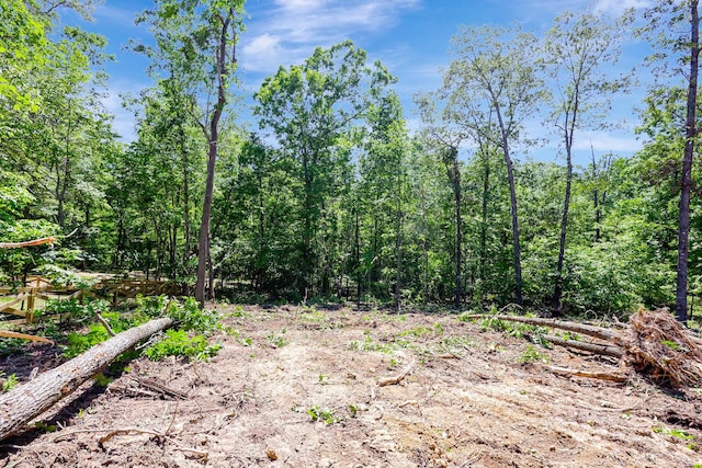 7452 Peytons Rise Way Lot # 52, Georgetown, TN 37336 - view of woods