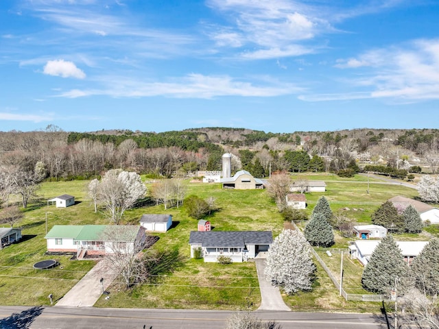 bird's eye view