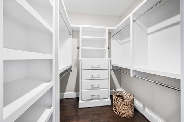 spacious closet featuring dark wood-type flooring