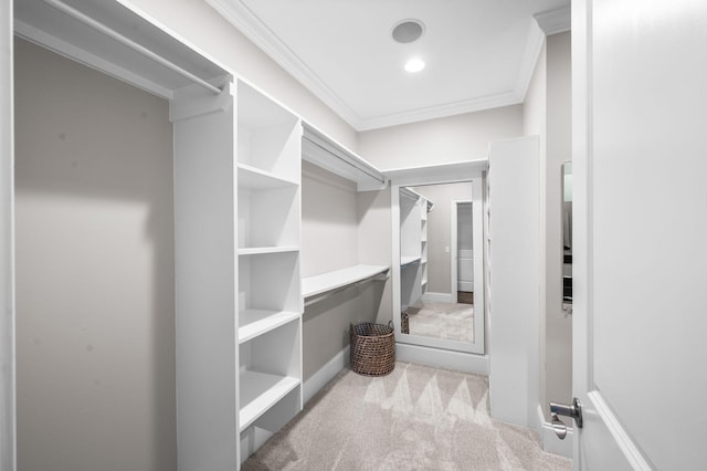 spacious closet with carpet