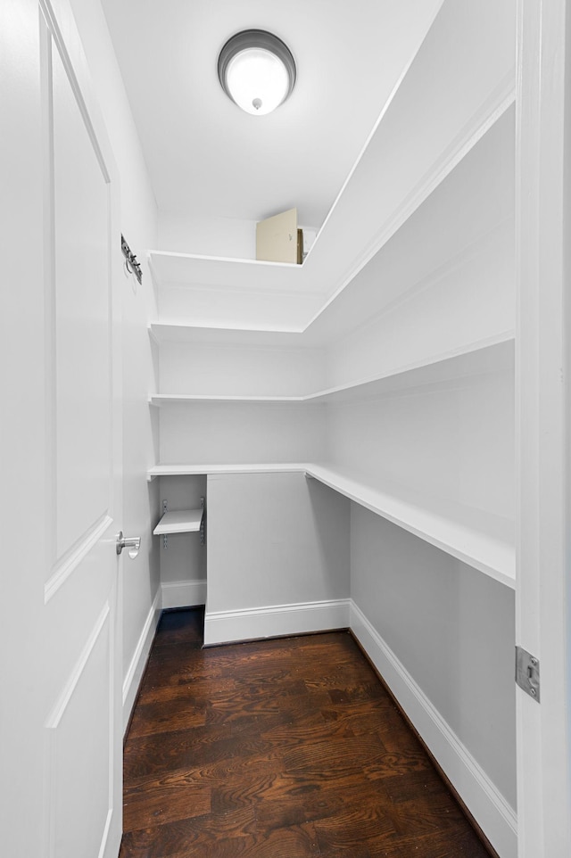 walk in closet featuring dark wood-type flooring