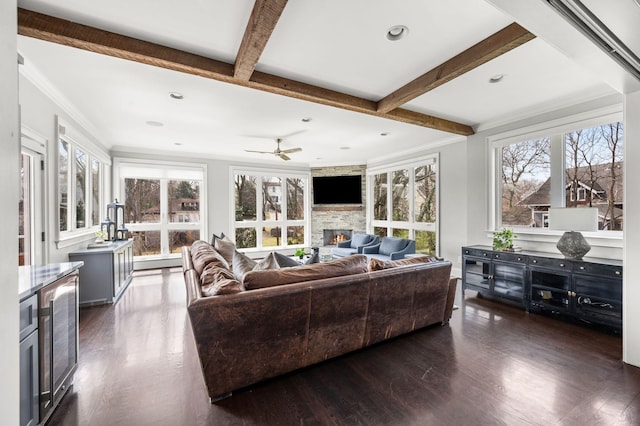 living room with a stone fireplace, plenty of natural light, beverage cooler, dark wood-style flooring, and beamed ceiling