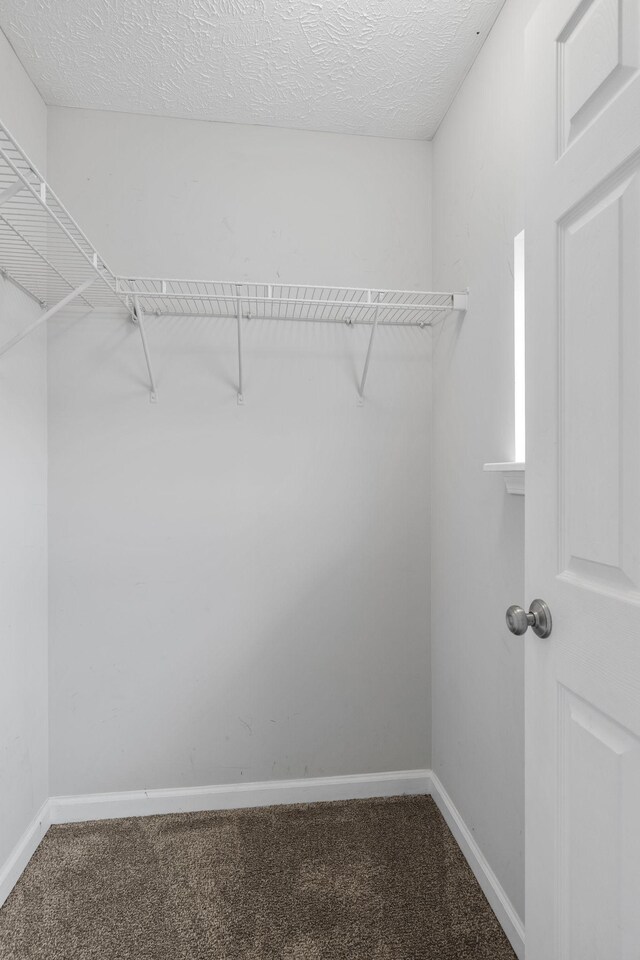 1096 Somerset Springs Dr, Spring Hill, TN 37174 - photo 16