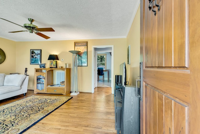 517 Drake Ave, Nashville, TN 37211 - foyer entrance featuring light wood finished floors, a textured ceiling, crown molding, ceiling fan, and baseboards