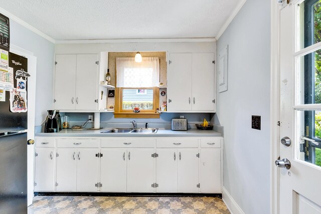 517 Drake Ave, Nashville, TN 37211 - kitchen with a sink, ornamental molding, light countertops, and healthy amount of natural light