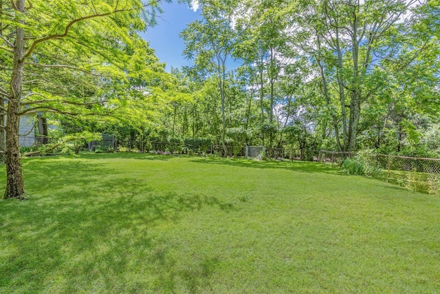 517 Drake Ave, Nashville, TN 37211 - view of yard