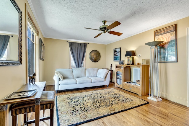 517 Drake Ave, Nashville, TN 37211 - living area featuring wood finished floors, crown molding, a ceiling fan, baseboards, and a textured ceiling