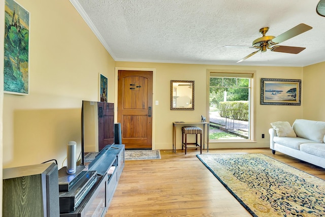 517 Drake Ave, Nashville, TN 37211 - living area with crown molding, light wood-style floors, a textured ceiling, a ceiling fan, and baseboards
