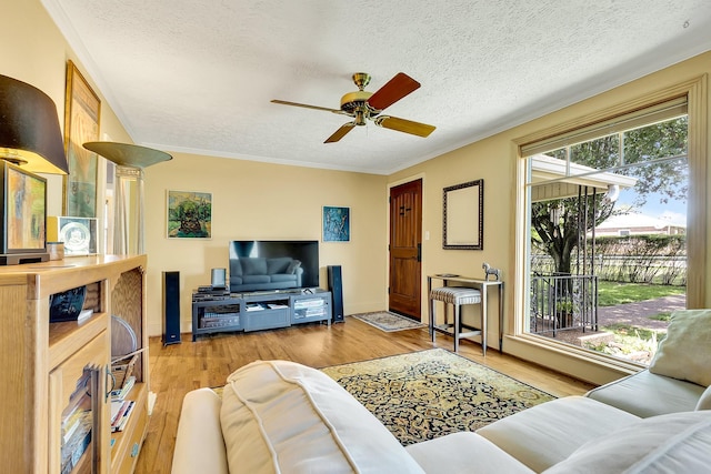 517 Drake Ave, Nashville, TN 37211 - living area with a ceiling fan, a textured ceiling, wood finished floors, and crown molding
