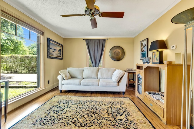 517 Drake Ave, Nashville, TN 37211 - living room featuring light wood-style floors, crown molding, and a ceiling fan