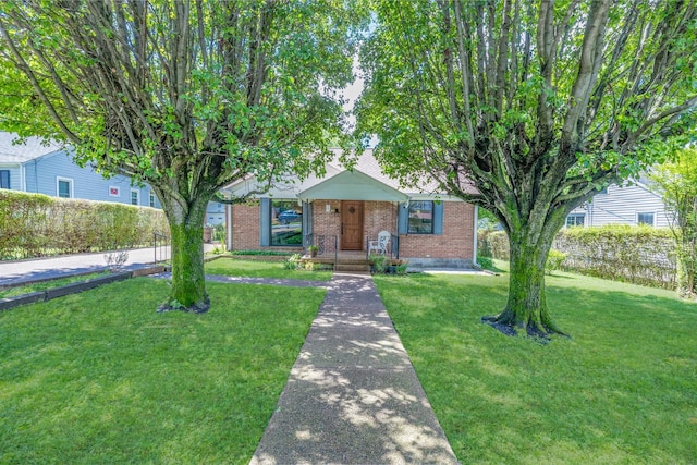 517 Drake Ave, Nashville, TN 37211 - obstructed view of property with brick siding and a front lawn