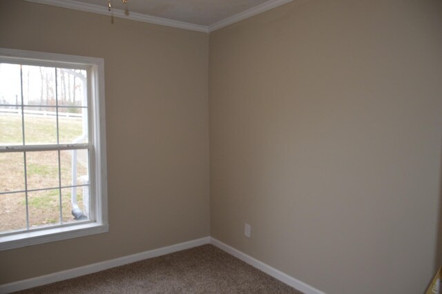 311 Gip Manning Rd, Clarksville, TN 37042 - unfurnished room featuring carpet flooring, baseboards, and ornamental molding