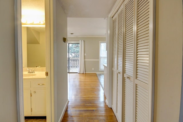 2172 Memorial Dr Unit C3, Clarksville, TN 37043 - corridor with a sink, light wood-style flooring, crown molding, and baseboards