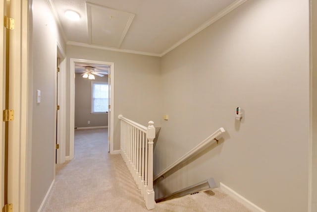 2172 Memorial Dr Unit C3, Clarksville, TN 37043 - corridor with an upstairs landing, attic access, light carpet, baseboards, and crown molding