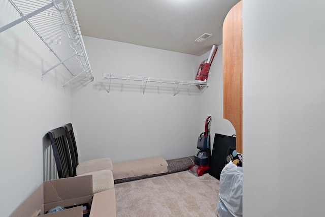 2139 Stonecenter Ln, Murfreesboro, TN 37128 - walk in closet featuring carpet floors
