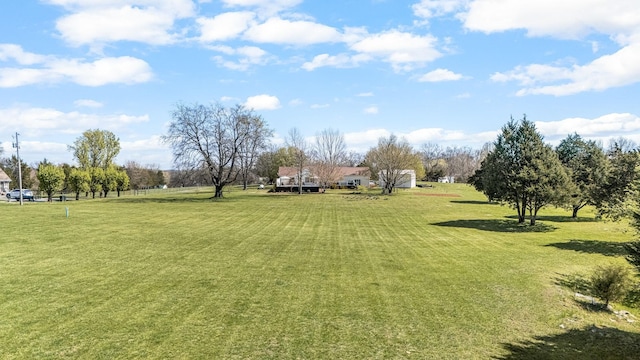 view of green lawn