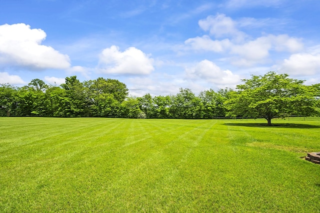 1006 Kamber Leigh Dr, Cedar Hill, TN 37032 - photo 43