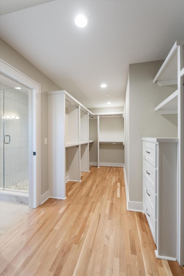 1908 Beechwood Ave, Nashville, TN 37212 - walk in closet with light wood-style floors