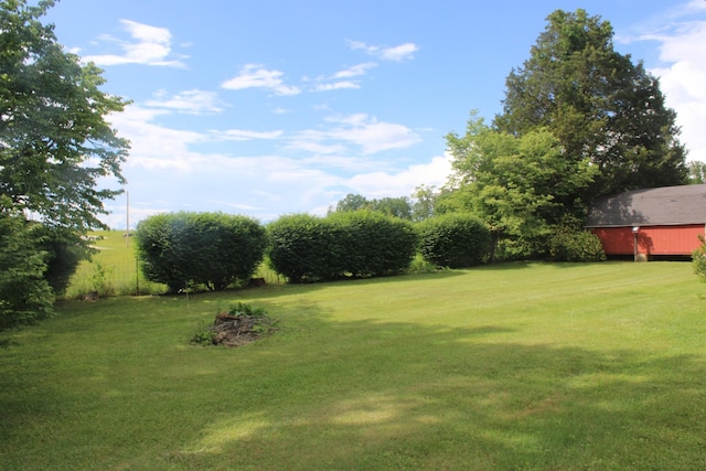 view of green lawn
