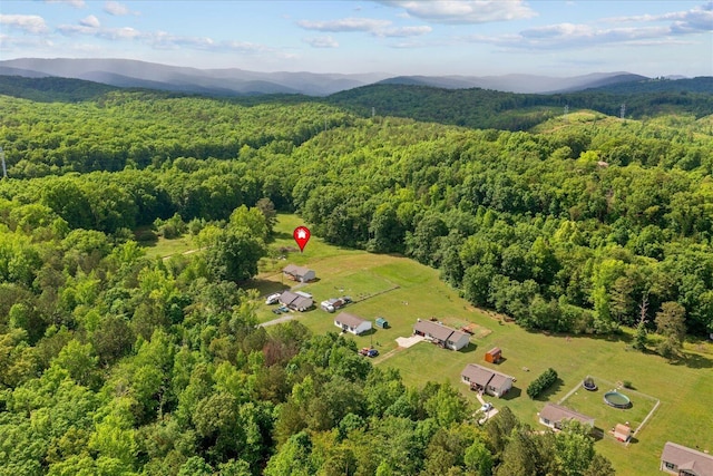 674 Eber Rd, Dalton, GA 30720 - aerial view of a forest and a mountainous background