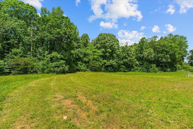 674 Eber Rd, Dalton, GA 30720 - view of grassy yard