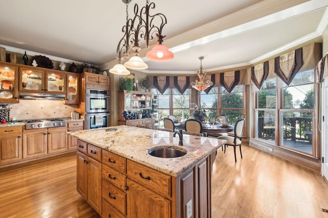1001 Williams Way, Old Hickory, TN 37138 - kitchen featuring a sink, stainless steel appliances, ornamental molding, light wood-type flooring, and an island with sink