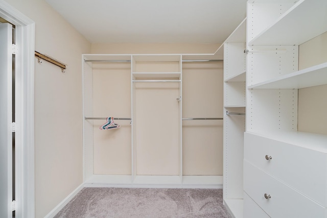 spacious closet with carpet flooring