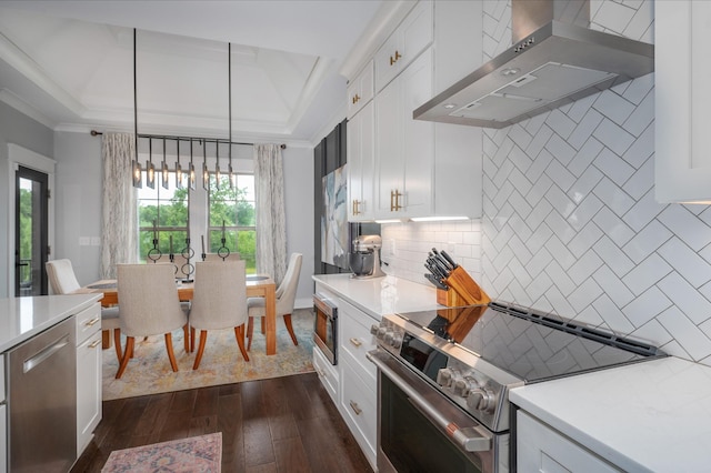144 Autumn Crk, Lebanon, TN 37087 - kitchen with appliances with stainless steel finishes, wall chimney range hood, a tray ceiling, healthy amount of natural light, and ornamental molding