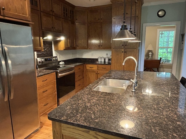 204 Revilo Rd, Leoma, TN 38468 - kitchen featuring stainless steel appliances, a sink, exhaust hood, crown molding, and light wood-style flooring