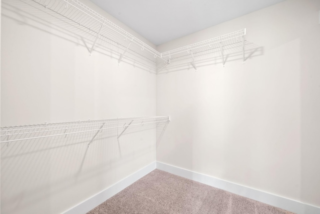 1936 Flats Rd, Cunningham, TN 37052 - spacious closet with carpet floors