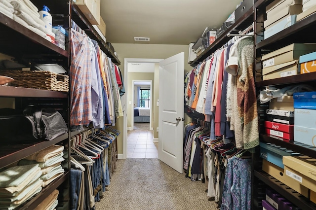 spacious closet featuring carpet flooring