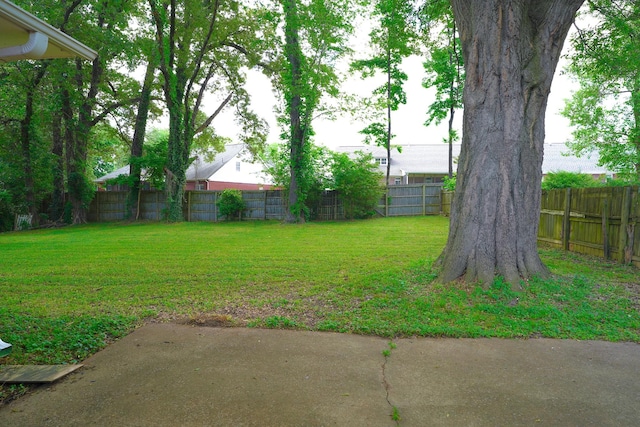 85 Charjean Dr, Jackson, TN 38305 - photo 34