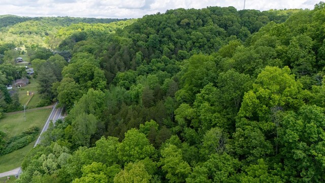 3262 Tyree Springs Rd, Hendersonville, TN 37075 - photo 15