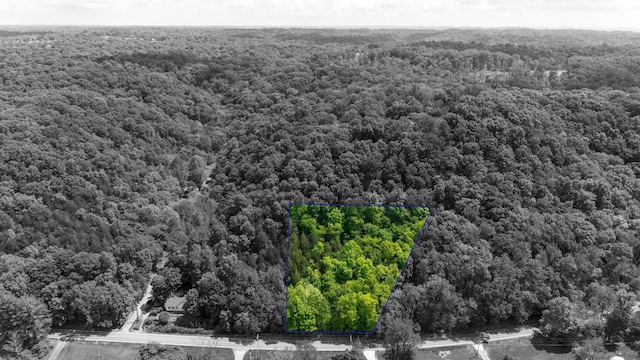 3262 Tyree Springs Rd, Hendersonville, TN 37075 - photo 2