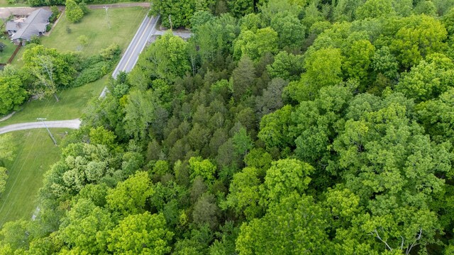 3262 Tyree Springs Rd, Hendersonville, TN 37075 - photo 12
