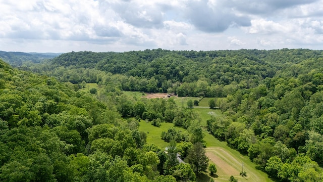 3262 Tyree Springs Rd, Hendersonville, TN 37075 - photo 13