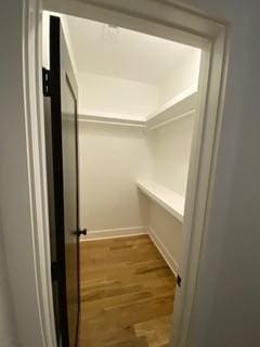 spacious closet with wood finished floors