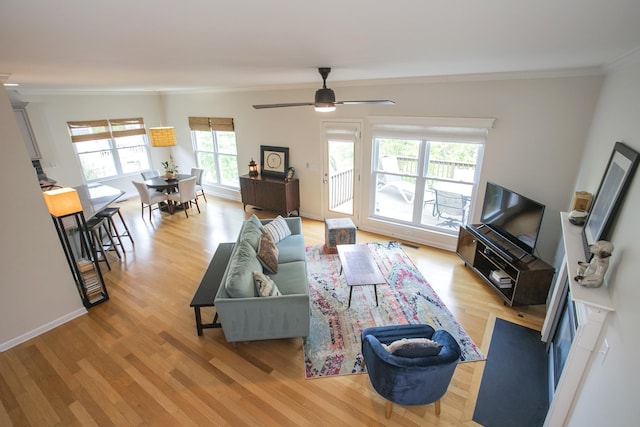 1552 Liberty Pike, Franklin, TN 37067 - living room featuring ornamental molding, light wood finished floors, ceiling fan, and baseboards