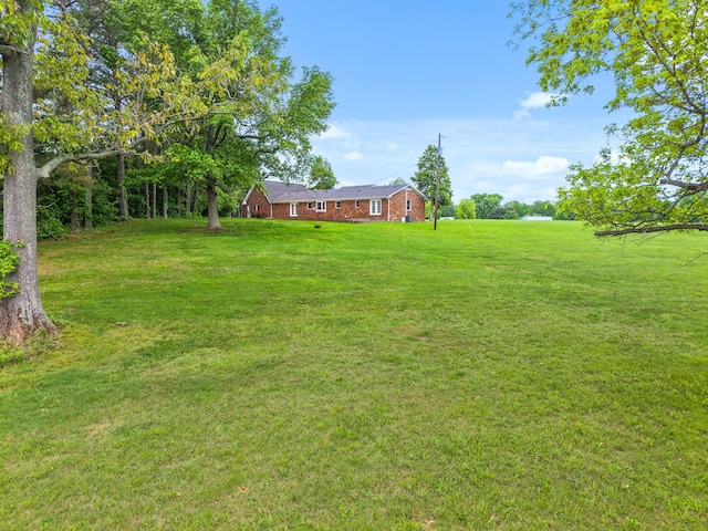 5130 Greenville Rd, Hopkinsville, KY 42240 - photo 31