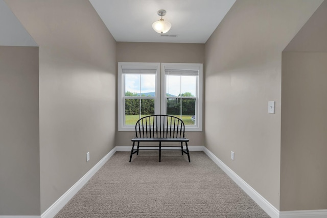 69 Meadows Rd, Hillsboro, TN 37342 - living area with carpet and baseboards