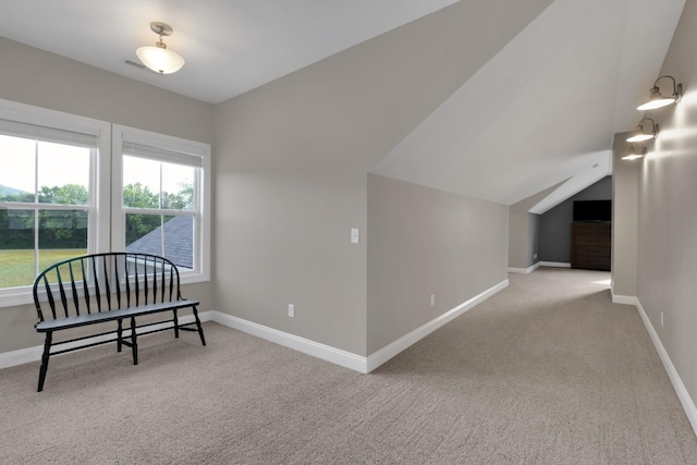 69 Meadows Rd, Hillsboro, TN 37342 - additional living space featuring carpet floors and vaulted ceiling