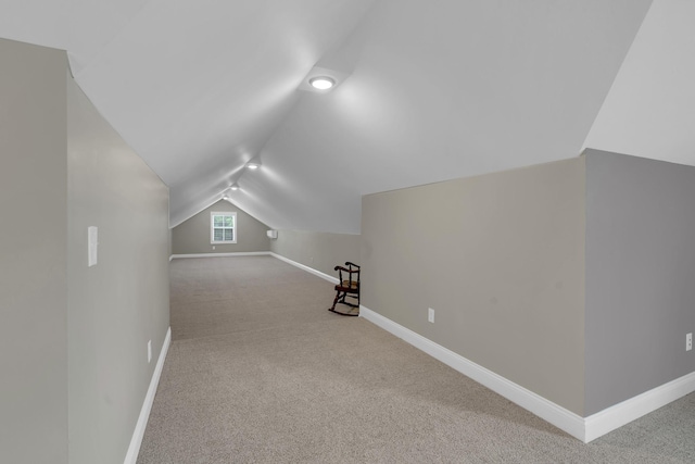 69 Meadows Rd, Hillsboro, TN 37342 - additional living space with vaulted ceiling and carpet floors