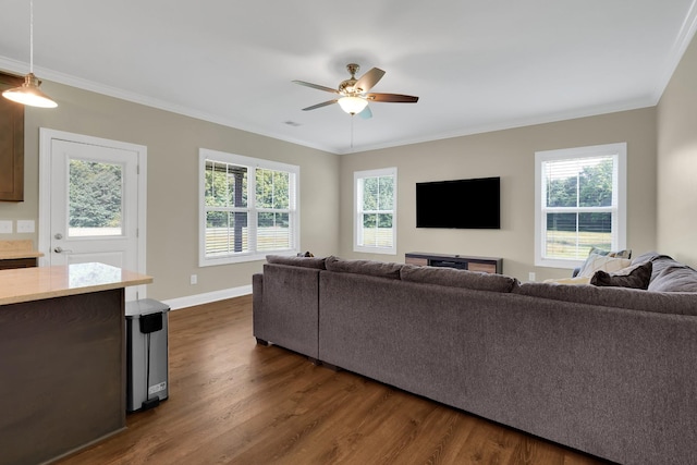 69 Meadows Rd, Hillsboro, TN 37342 - living area with dark wood-style floors, a ceiling fan, and ornamental molding
