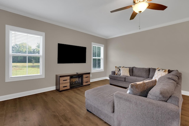 69 Meadows Rd, Hillsboro, TN 37342 - living room with crown molding, dark wood-style floors, and a ceiling fan
