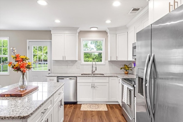 147 Ray Jent Rd, Bethpage, TN 37022 - kitchen with stainless steel appliances, a sink, wood finished floors, healthy amount of natural light, and recessed lighting